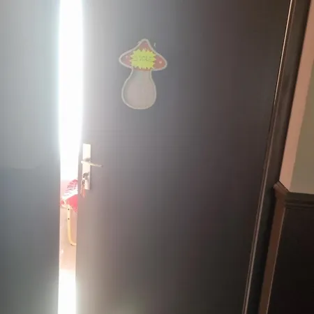 Gordana Auberge de jeunesse Reims